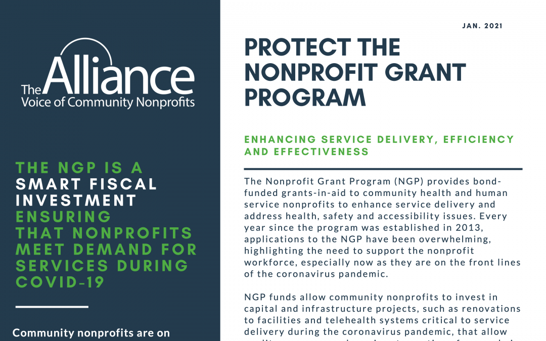 Protect the Nonprofit Grant Program