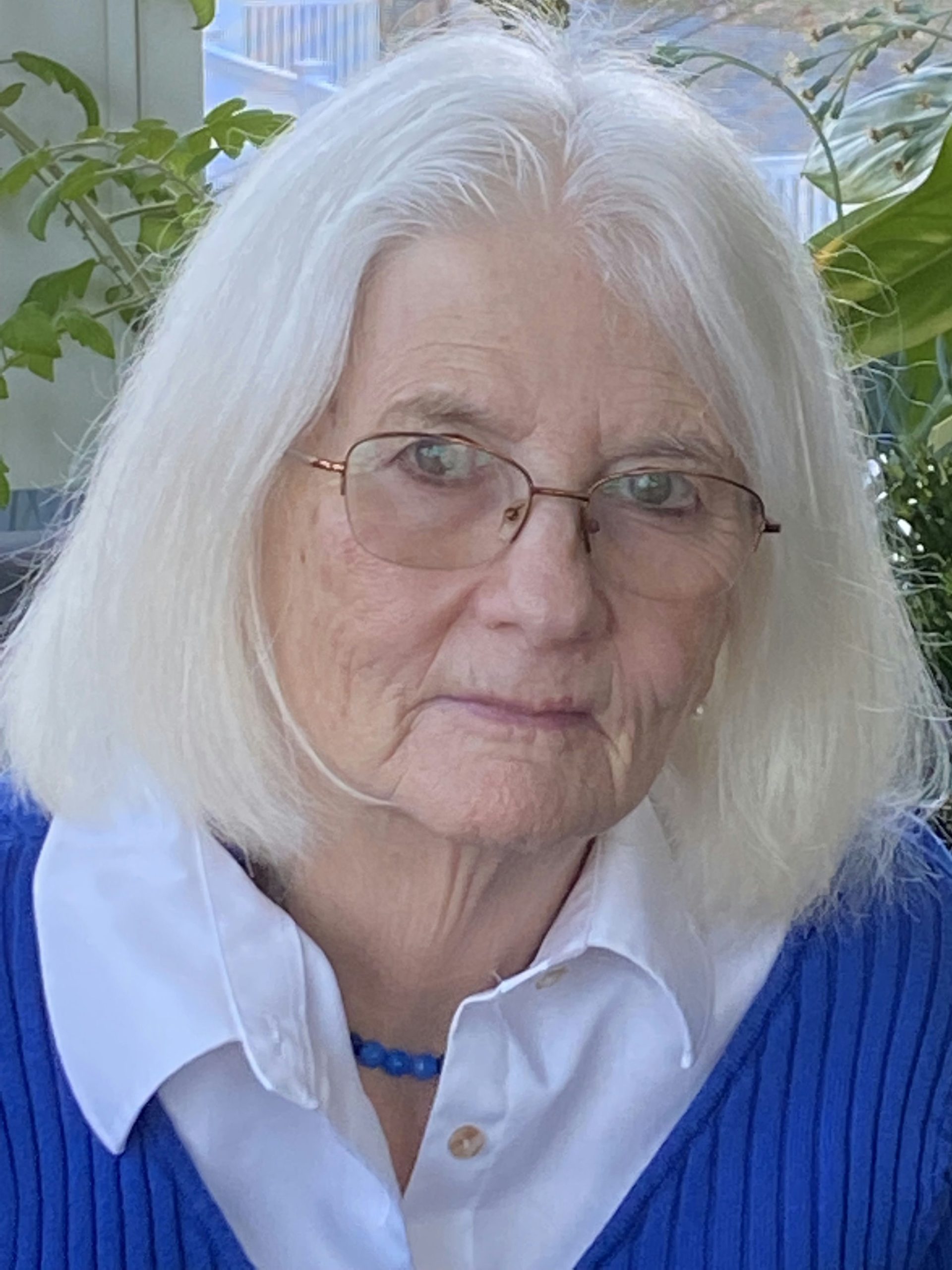 Patricia Wilcox, LCSW