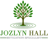 logo-1
